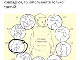 Как определить предлежание плода?