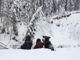 Обо всем по чуть-чуть