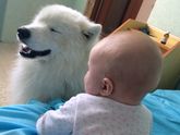 Следующий пункт развития...