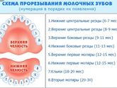 Вылез наш 9 зубик