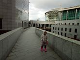 Балет "Маугли" в ММДМ