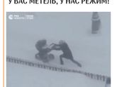 У вас метель, у нас режим😂
