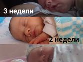 Растем
