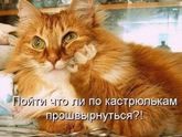 Прям про меня перед сном