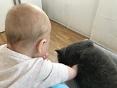 Новая умелка