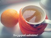 Гнойная ангина и стоматит