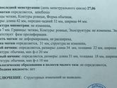 УЗИ 10 дц