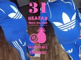 31 неделя