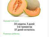 Растет моя дынька😚