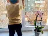 К предыдущему посту. Зуб?