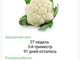 Нам 2️⃣7️⃣ недель