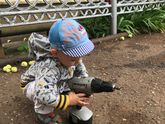 Ох уж этот бабушкин двор в Бузулуке...