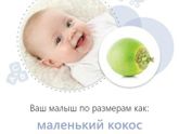 Экватор