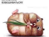 Ох уж этот вес...