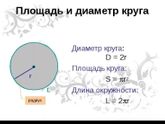 Средний диаметр живота на 3м скрининге у ребёнка.