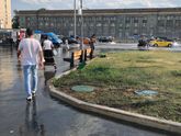 Дурная голова ногам покоя не даёт