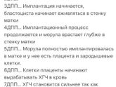 Первое ЭКО пролет