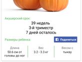 А мы пока сидим