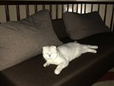 Срочно нужна помощь! Не по теме