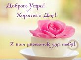 Флай взлет. День 6: понедельник 29.10.2018.