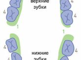еще зубик ???
