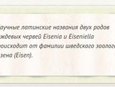 Имя