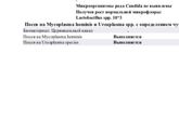 Анализ