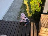 Прошел год