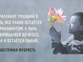 О мудрости...