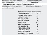 Enterobacter cloacae 10^7