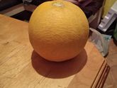 Дачный урожай, будь он не ладен