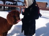 Когда хочется нежности!