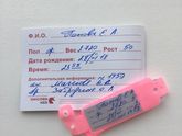 Родились!!!!!🐣