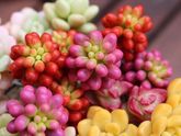 Прекрасного воскресного дня! ?