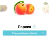 15 неделя