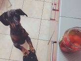 Мое доброе утро ???Как
