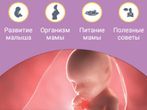 Ну и когда же?