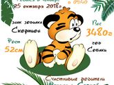 Воть такую штучку мы сделали)