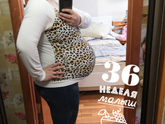 36 недель ?