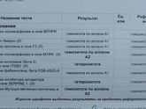 Результаты крови на гены гемостаза (кто разбирается)?