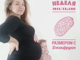 40ая неделя)