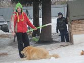 многофотопост