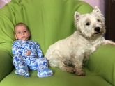 Подрастающий малыш, уменьшающийся пёс ))))
