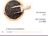 Такая маленькая горошинка