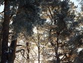Фото на память. Сегодня просто волшебно