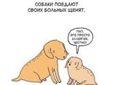 Самостоятельное засыпание?