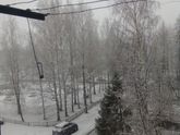 1 годовщина семейной жизни)))