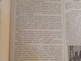 Решила попробовать сделать безе,