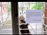 Подборка приколов)