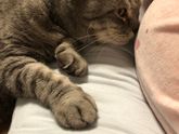 Котосын налаживает контакт с сыночком🥰